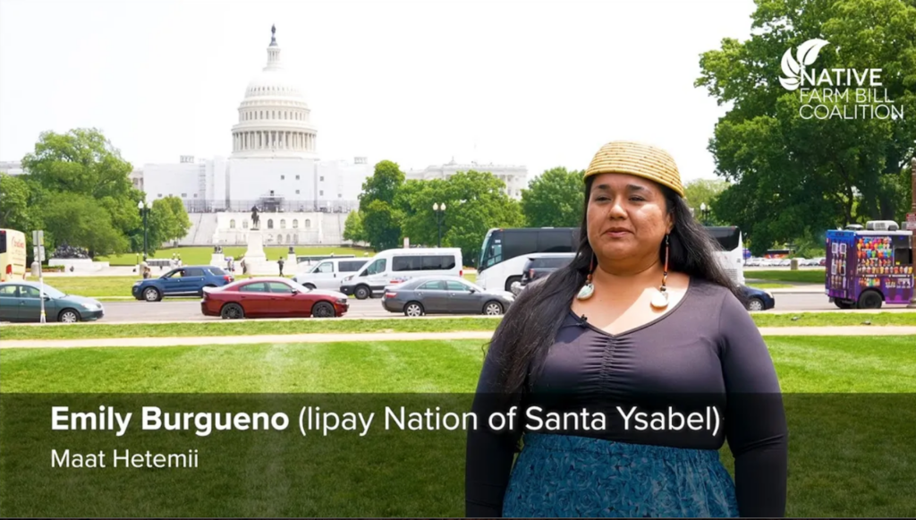 Screenshot of a video showing an interview with a Native woman in front of the U.S. Capitol.