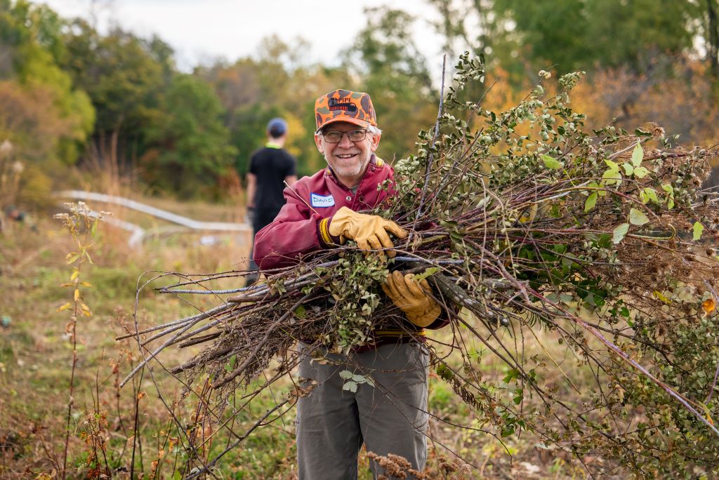 An elderly man carries a pile of sticks across a field